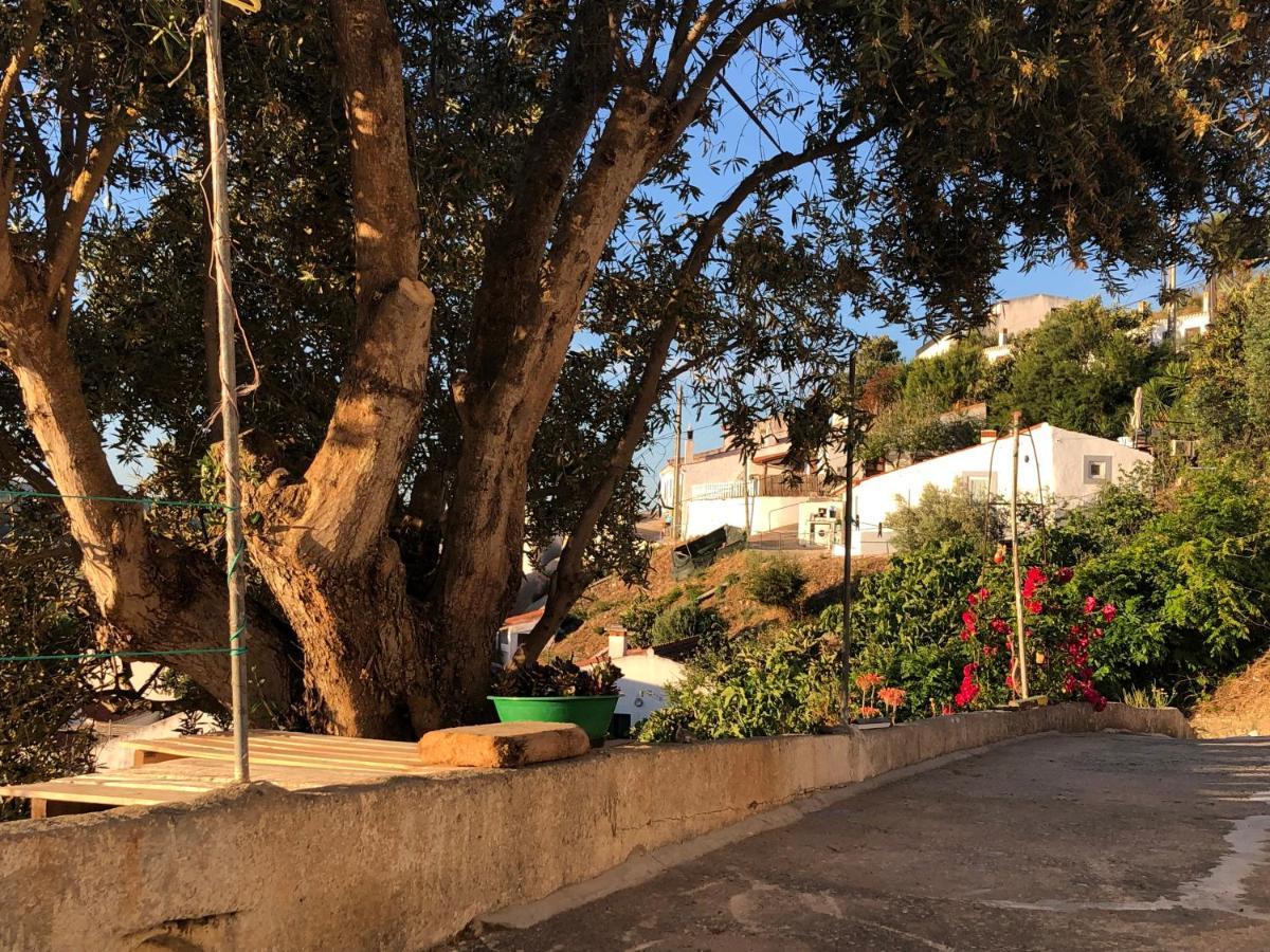 Casa Anneli - Relaxing Under The Olive Tree Vila Aljezur Exterior foto