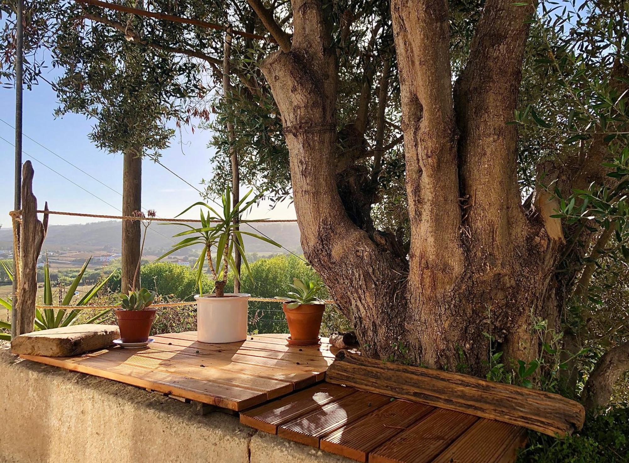 Casa Anneli - Relaxing Under The Olive Tree Vila Aljezur Exterior foto